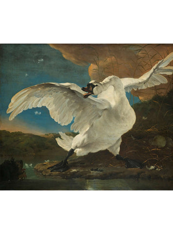 Le Cygne menacé