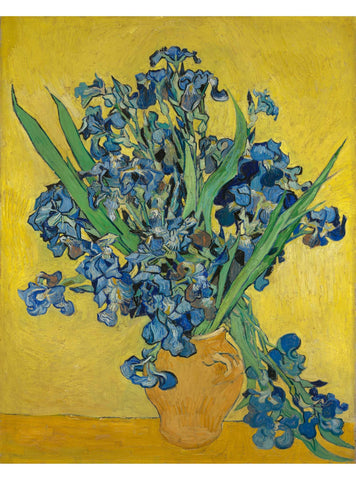 Les Iris
