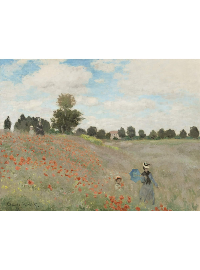 Coquelicots