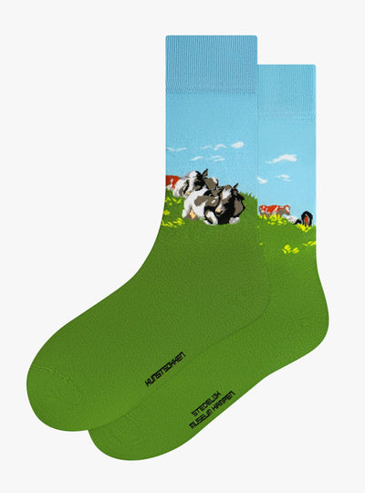 Vaches au repos sur l'IJssel