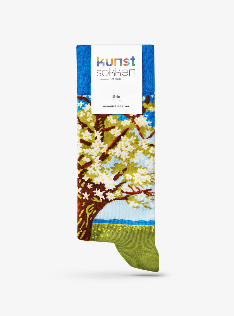 Beemster, Arbre en fleurs