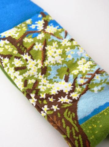 Beemster, Arbre en fleurs