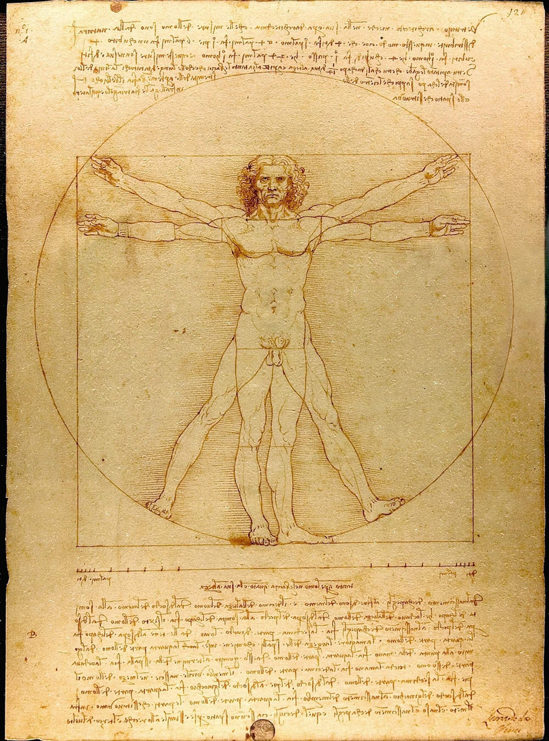 L'Homme de Vitruve