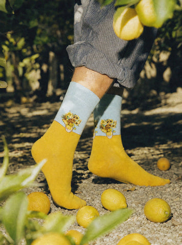 Tournesols